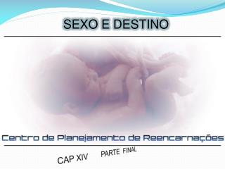 SEXO E DESTINO