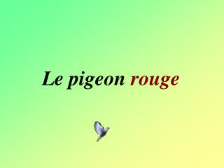 Un homme se présente, et lui dit : “Si tu ne me poses aucune question je te libère des pigeons