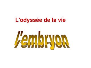 L'odyssée de la vie