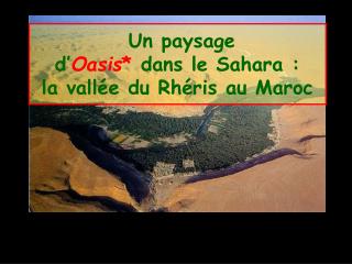 Un paysage d’ Oasis * dans le Sahara : la vallée du Rhéris au Maroc