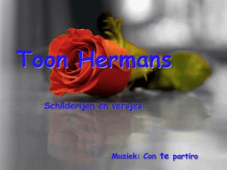 Toon Hermans