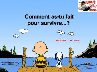 Comment as-tu fait pour survivre...?