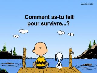 Comment as-tu fait pour survivre...?