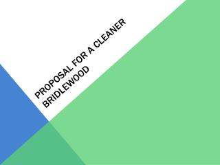 Proposal for a cleaner bridlewood