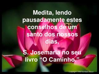 Medita, lendo pausadamente estes conselhos de um santo dos nossos dias,