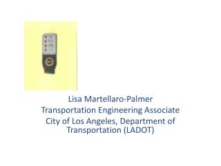 Lisa Martellaro-Palmer Transportation Engineering Associate