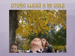 OTOÑO LLEGÓ A MI COLE