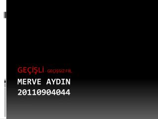 MERVE AYDIN 20110904044