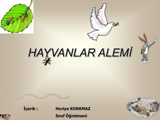 HAYVANLAR ALEMİ