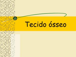 Tecido ósseo