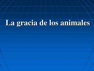 La gracia de los animales