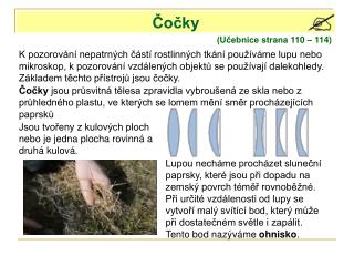 Čočky