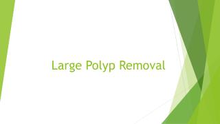 Large Polyp Removal