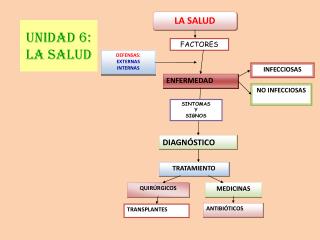 Unidad 6: LA SALUD