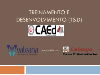 TREINAMENTO E DESENVOLVIMENTO (T&amp;D)