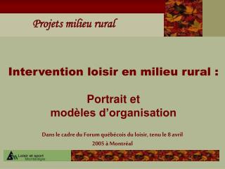 Intervention loisir en milieu rural : Portrait et modèles d’organisation