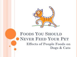 Foods You Should Never Feed Your Pet