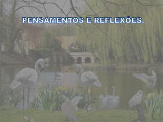 PENSAMENTOS E REFLEXÕES.