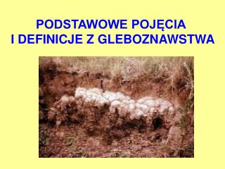 PODSTAWOWE POJĘCIA I DEFINICJE Z GLEBOZNAWSTWA