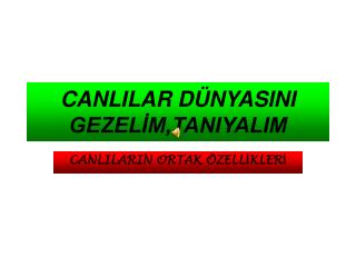 CANLILAR DÜNYASINI GEZELİM,TANIYALIM