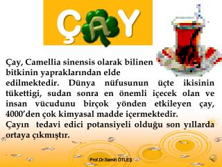 Ç ay, Camellia sinensis olarak bilinen b itkinin yapraklarından elde