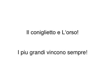 Il coniglietto e L‘orso! I piu grandi vincono sempre!