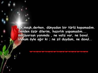 sahinbey27@hotmail