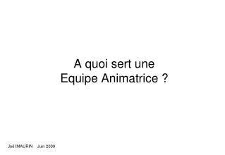 A quoi sert une Equipe Animatrice ?