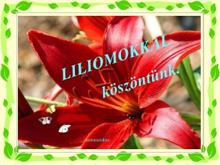 LILIOMOKKAL köszöntünk.