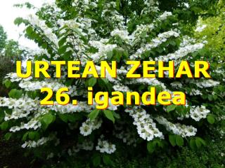 URTEAN ZEHAR 26. igandea