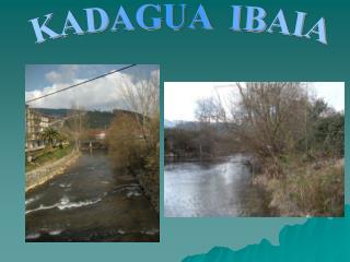 KADAGUA IBAIA