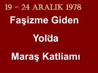 19 - 24 ARALIK 1978