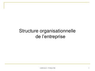 Structure organisationnelle				 de l’entreprise