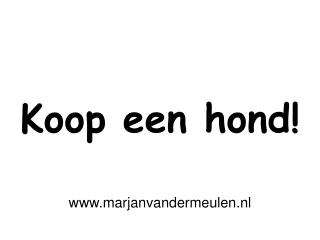 Koop een hond!