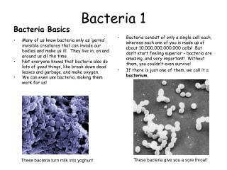 Bacteria 1