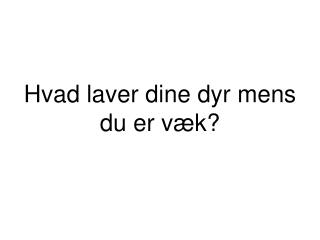 Hvad laver dine dyr mens du er væk?