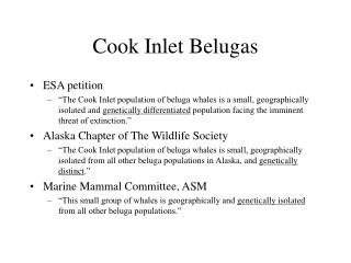Cook Inlet Belugas