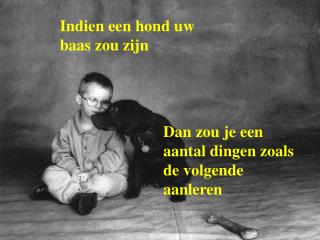 Indien een hond uw baas zou zijn