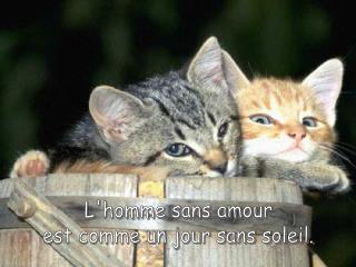 L'homme sans amour est comme un jour sans soleil.