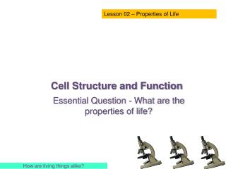 Cell Structure and Function