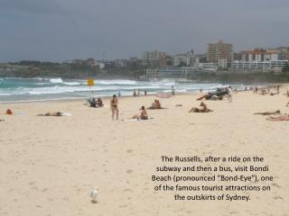 It was a breezy day, so there were plenty of waves for the surfers.