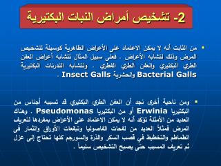 2- تشخيص أمراض النبات البكتيرية