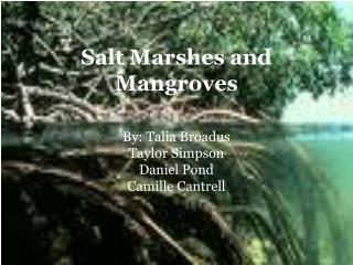 Salt Marshes and Mangroves