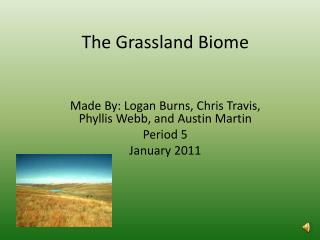The G rassland Biome
