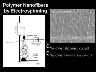 Polymer Nanofibers by Electrospinning