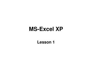 MS-Excel XP