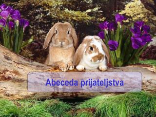 Abeceda prijateljstva