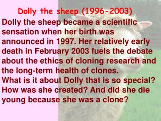 Dolly the sheep (1996-2003)