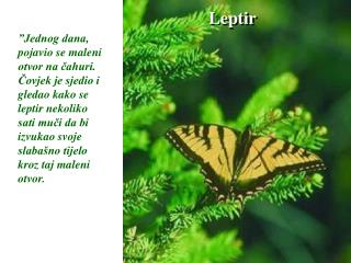 Leptir