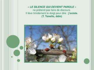 « LE SILENCE QUI DEVIENT PAROLE » ne prétend pas faire de discours.